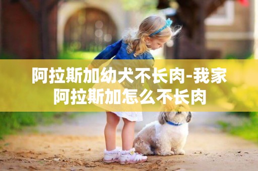 阿拉斯加幼犬不长肉-我家阿拉斯加怎么不长肉