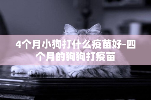 4个月小狗打什么疫苗好-四个月的狗狗打疫苗