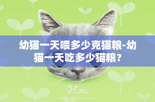 幼猫一天喂多少克猫粮-幼猫一天吃多少猫粮？