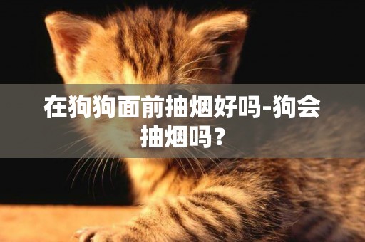 在狗狗面前抽烟好吗-狗会抽烟吗？