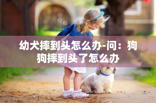 幼犬摔到头怎么办-问：狗狗摔到头了怎么办