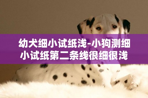 幼犬细小试纸浅-小狗测细小试纸第二条线很细很浅