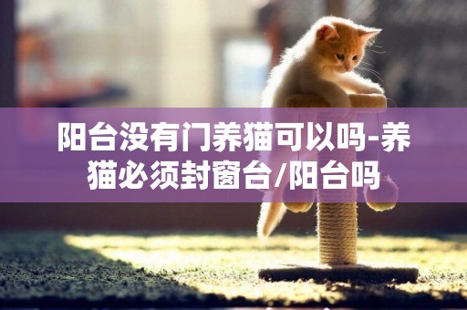 阳台没有门养猫可以吗-养猫必须封窗台/阳台吗