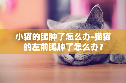 小猫的腿肿了怎么办-猫猫的左前腿肿了怎么办？