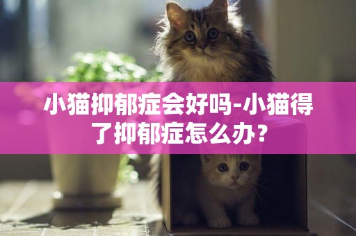 小猫抑郁症会好吗-小猫得了抑郁症怎么办？