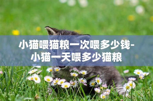 小猫喂猫粮一次喂多少钱-小猫一天喂多少猫粮