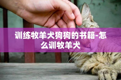 训练牧羊犬狗狗的书籍-怎么训牧羊犬