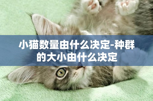 小猫数量由什么决定-种群的大小由什么决定