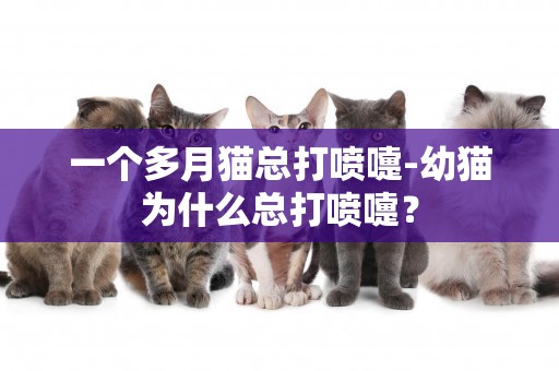 一个多月猫总打喷嚏-幼猫为什么总打喷嚏？