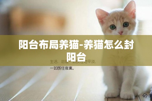 阳台布局养猫-养猫怎么封阳台