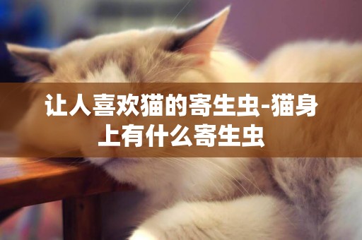 让人喜欢猫的寄生虫-猫身上有什么寄生虫