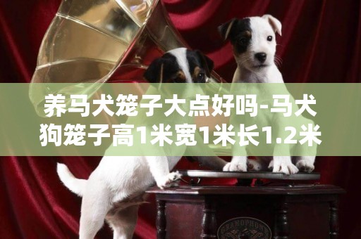 养马犬笼子大点好吗-马犬狗笼子高1米宽1米长1.2米可以吗？