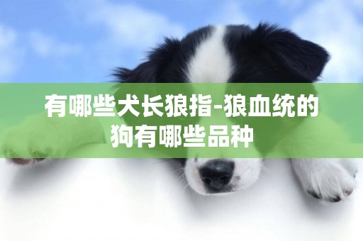 有哪些犬长狼指-狼血统的狗有哪些品种