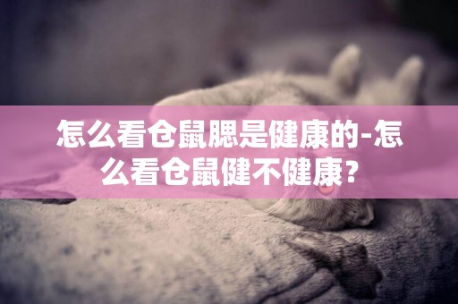 怎么看仓鼠腮是健康的-怎么看仓鼠健不健康？