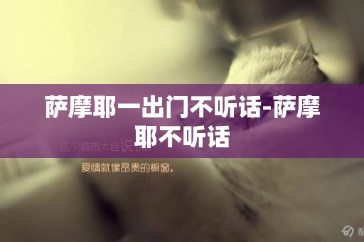 萨摩耶一出门不听话-萨摩耶不听话