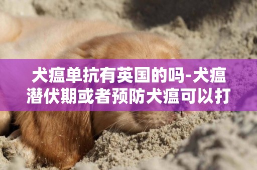 犬瘟单抗有英国的吗-犬瘟潜伏期或者预防犬瘟可以打单抗吗