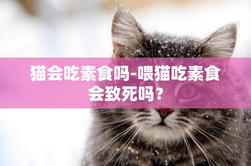 猫会吃素食吗-喂猫吃素食会致死吗？