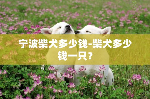 宁波柴犬多少钱-柴犬多少钱一只？