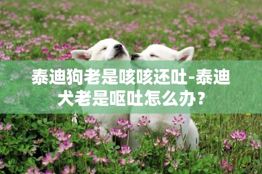 泰迪狗老是咳咳还吐-泰迪犬老是呕吐怎么办？