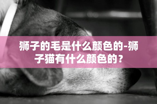 狮子的毛是什么颜色的-狮子猫有什么颜色的？