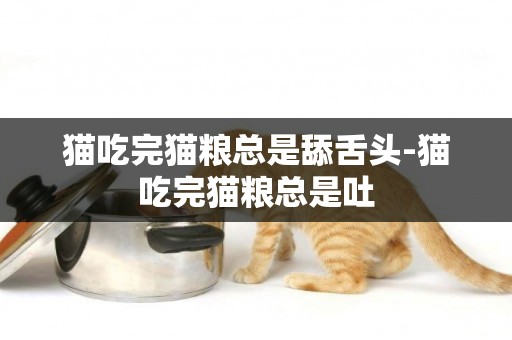 猫吃完猫粮总是舔舌头-猫吃完猫粮总是吐