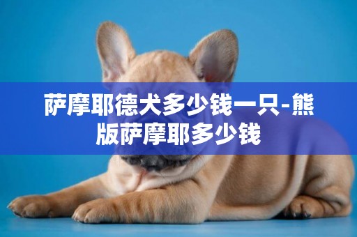 萨摩耶德犬多少钱一只-熊版萨摩耶多少钱