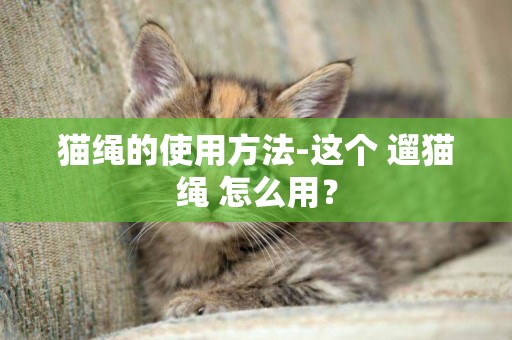 猫绳的使用方法-这个 遛猫绳 怎么用？