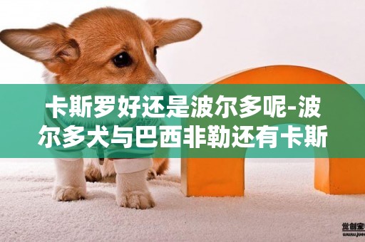 卡斯罗好还是波尔多呢-波尔多犬与巴西非勒还有卡斯罗哪只烈害好