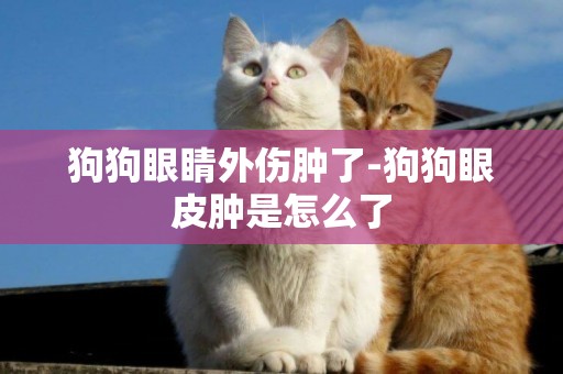 狗狗眼睛外伤肿了-狗狗眼皮肿是怎么了