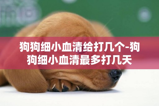 狗狗细小血清给打几个-狗狗细小血清最多打几天