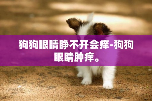 狗狗眼睛睁不开会痒-狗狗眼睛肿痒。