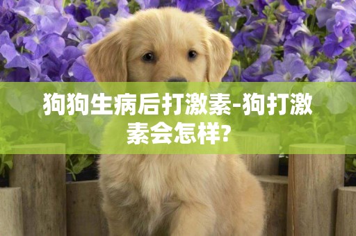 狗狗生病后打激素-狗打激素会怎样?