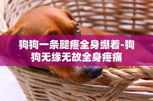 狗狗一条腿疼全身绷着-狗狗无缘无故全身疼痛