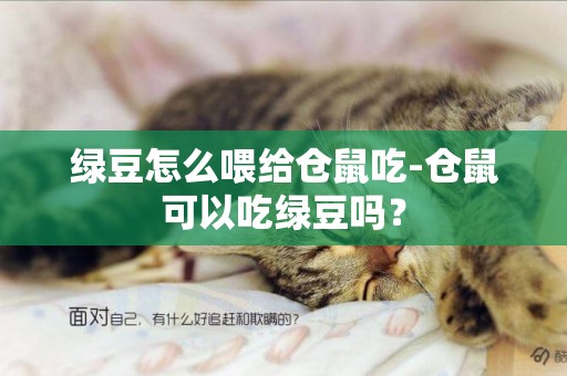 绿豆怎么喂给仓鼠吃-仓鼠可以吃绿豆吗？