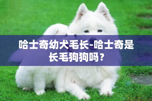 哈士奇幼犬毛长-哈士奇是长毛狗狗吗？