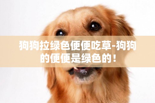 狗狗拉绿色便便吃草-狗狗的便便是绿色的！