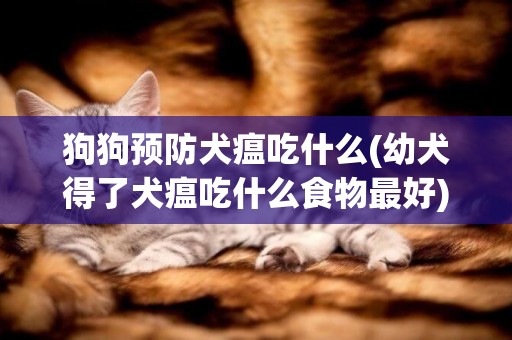 狗狗预防犬瘟吃什么(幼犬得了犬瘟吃什么食物最好)