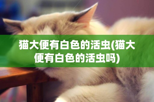 猫大便有白色的活虫(猫大便有白色的活虫吗)