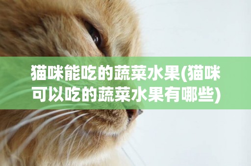 猫咪能吃的蔬菜水果(猫咪可以吃的蔬菜水果有哪些)