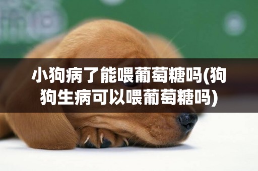 小狗病了能喂葡萄糖吗(狗狗生病可以喂葡萄糖吗)