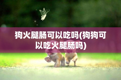 狗火腿肠可以吃吗(狗狗可以吃火腿肠吗)