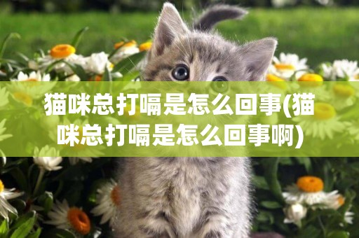 猫咪总打嗝是怎么回事(猫咪总打嗝是怎么回事啊)