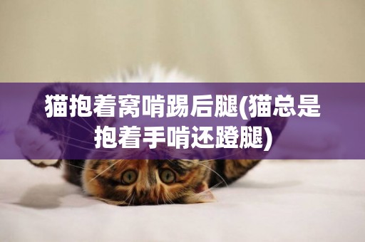 猫抱着窝啃踢后腿(猫总是抱着手啃还蹬腿)