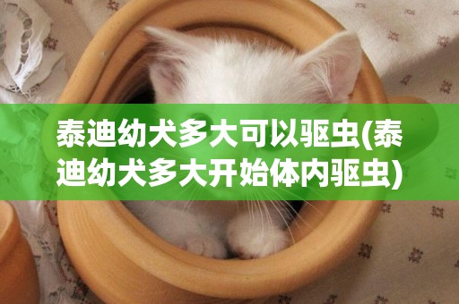 泰迪幼犬多大可以驱虫(泰迪幼犬多大开始体内驱虫)