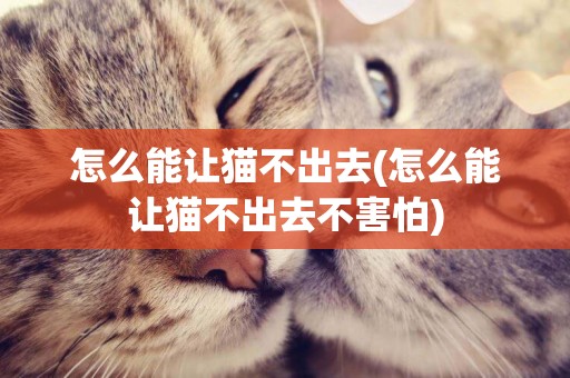 怎么能让猫不出去(怎么能让猫不出去不害怕)