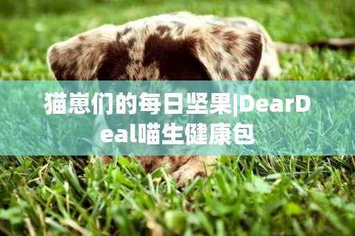 猫崽们的每日坚果|DearDeal喵生健康包