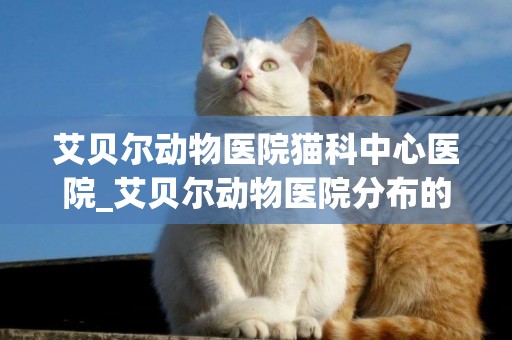 艾贝尔动物医院猫科中心医院_艾贝尔动物医院分布的城市有哪些