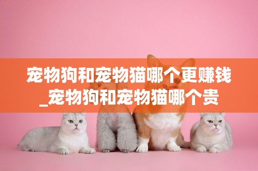 宠物狗和宠物猫哪个更赚钱_宠物狗和宠物猫哪个贵