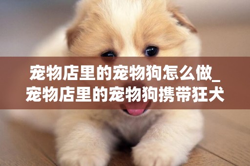 宠物店里的宠物狗怎么做_宠物店里的宠物狗携带狂犬病毒吗