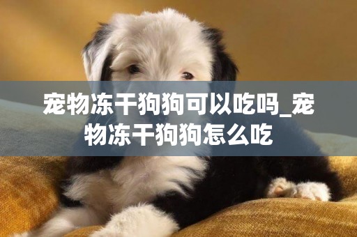 宠物冻干狗狗可以吃吗_宠物冻干狗狗怎么吃